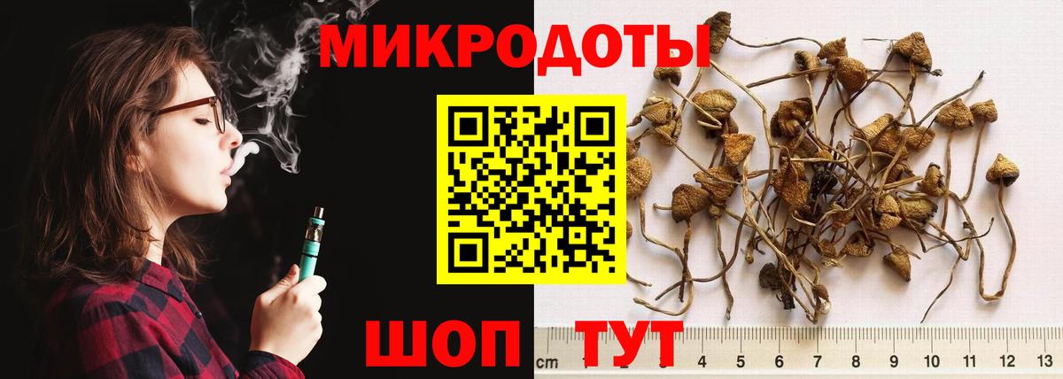 Галлюциногенные грибы MAGIC MUSHROOMS Казань